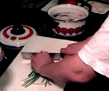 �������̎ʐ^