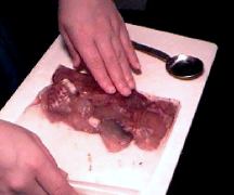 �������̎ʐ^