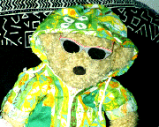 ������������̎ʐ^