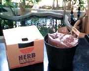 �͔|�Z�b�g�̎ʐ^