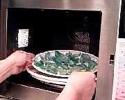 �����̎ʐ^