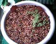 �����̎ʐ^