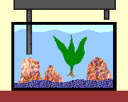 �Z�b�e�B���O�̂�����4