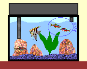 �Z�b�e�B���O�̂�����5