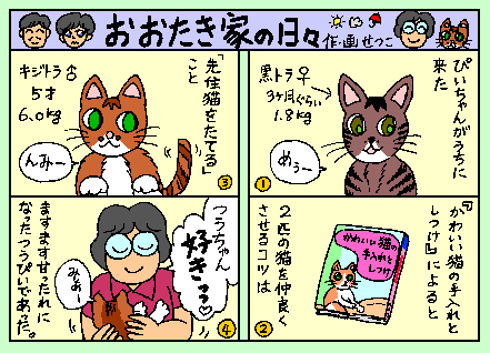 �܂񂪂��������Ƃ̓��X