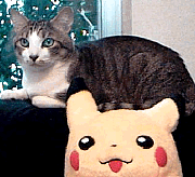 ���҂��̎ʐ^