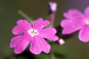 �C���[�W�C���X�g