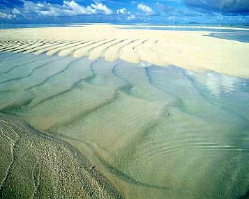 �C���[�W�C���X�g