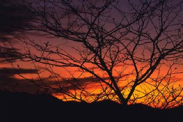 �C���[�W�C���X�g