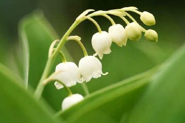 �C���[�W�C���X�g