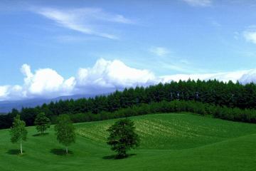 �C���[�W�C���X�g