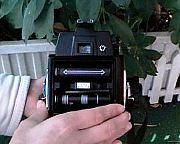 �t�B�������U�̎ʐ^