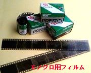 ���m�N���p�t�B�����̎ʐ^