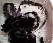 �����̎ʐ^