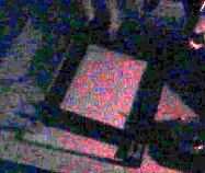 �����̎ʐ^