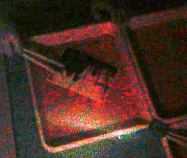 �����̎ʐ^