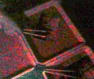 �����̎ʐ^