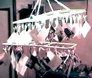 �����̎ʐ^