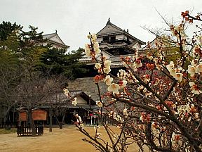 ���R��̎ʐ^