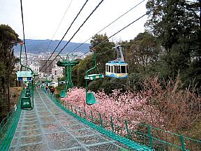 ���[�v�E�G�C���t�g�̎ʐ^