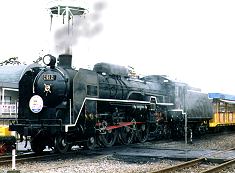 �X�`�[�����̎ʐ^